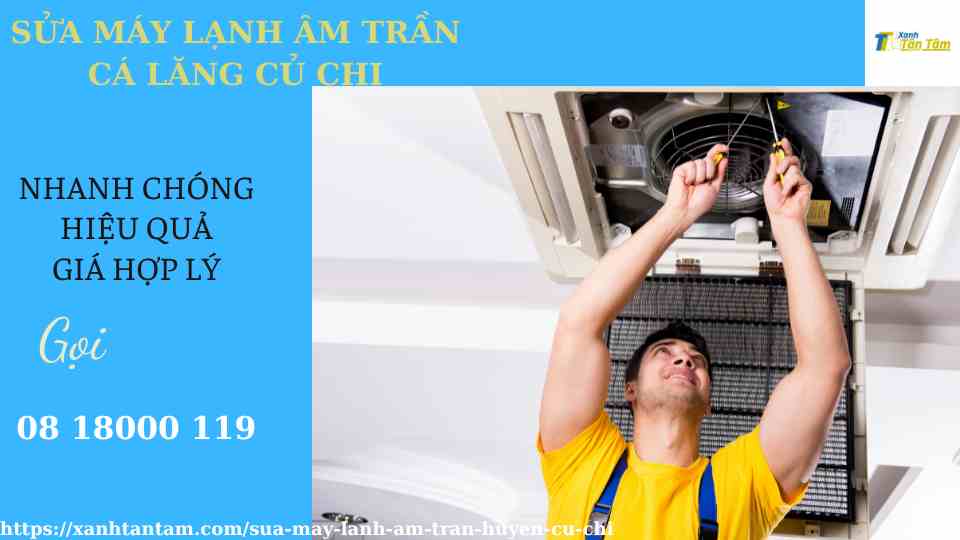 sua-may-lanh-am-tran-ca-lang